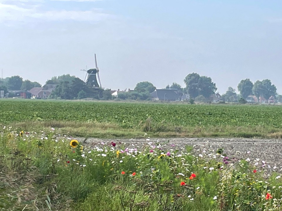 najaar 2022 Oude Smidse website 31